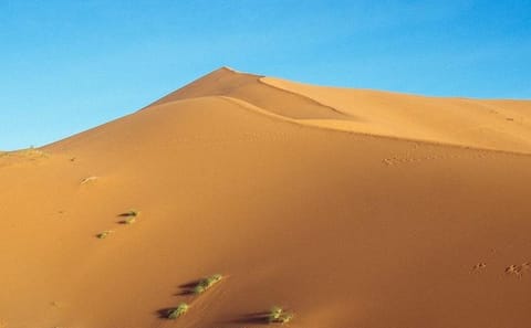 Five-Day Private Adventure from Tangier to Marrakech