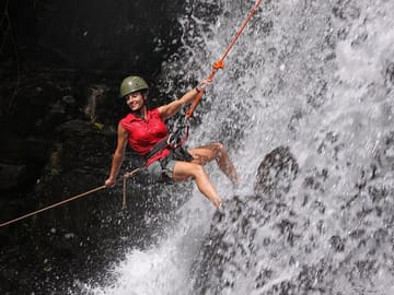 Jungle Fly - Adventure at the Jungle