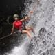 Jungle Fly - Adventure at the Jungle