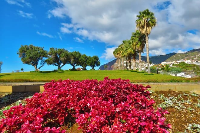 Private Half-Day Morning 4x4 Tour from Funchal photo 6