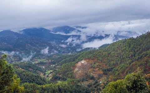 Private Day Trip from Dehradun to Mussoorie with Scenic Views