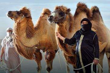 Camel Ride Adventure in the Desert of Ica, Peru