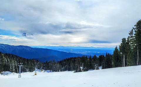 Winter Activities Tour in North Vancouver's North Shore Mountains