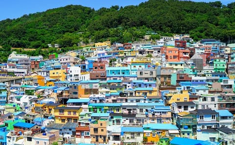Busan Highlight Tour: Haedong Yonggungsa and Gamcheon Village