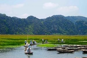 Van Long - Kenh Ga Ninh Binh day tour