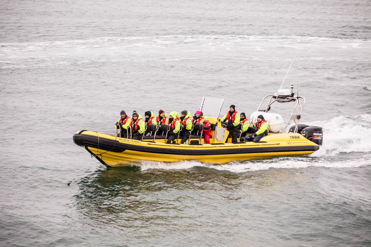Whale  Watching from Downtown Reykjavik by RIB Speedboat  8
