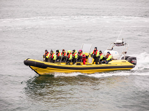 Whale Watching from Downtown Reykjavik by RIB Speedboat , photo 8