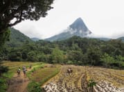 Active Trekking With Knuckles Mountain 3