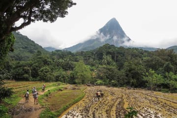 Active Trekking With Knuckles Mountain