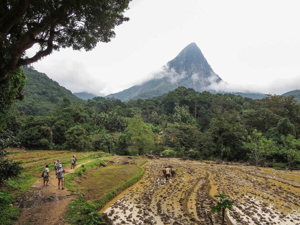 Active Trekking With Knuckles Mountain 3