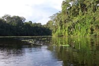 4 Day Trip To Pacaya Samiria In Iquitos 2