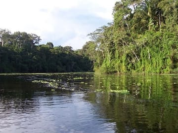 4 Day Trip To Pacaya Samiria In Iquitos