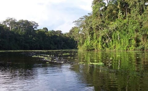 4-Day Nature Tour of Pacaya Samiria from Iquitos