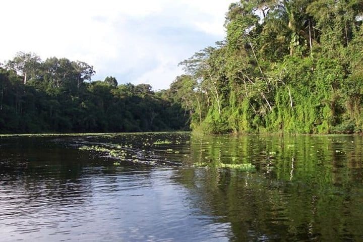 4 Day Trip To Pacaya Samiria In Iquitos 2
