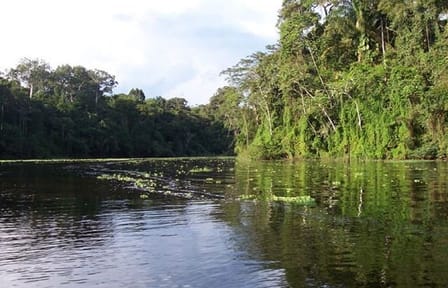 4-Day Nature Tour of Pacaya Samiria from Iquitos