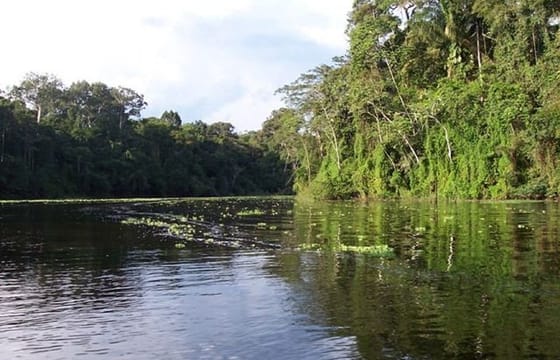 4 Day Trip To Pacaya Samiria In Iquitos