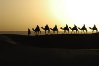 CAMEL RIDE IN THE SAHARA