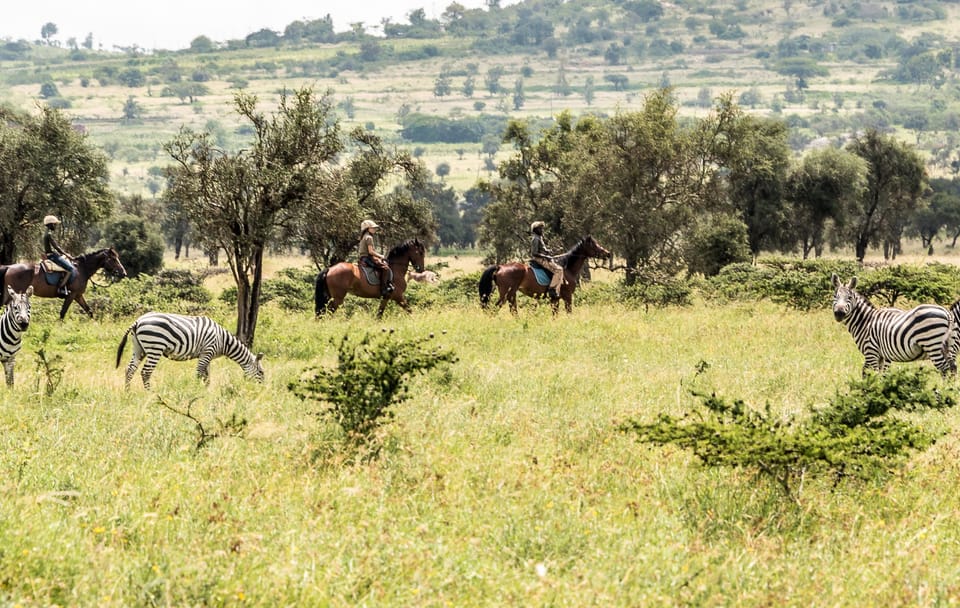 Horseback Riding Safari in Maasai Mara, Narok