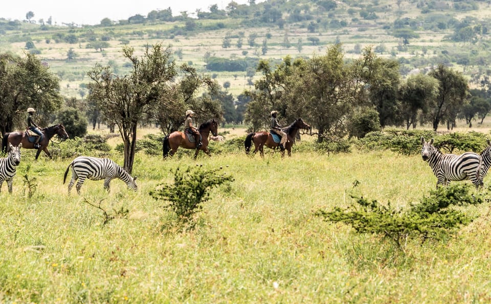 Horseback Riding Safari in Maasai Mara, Narok
