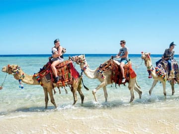 Camel Riding Tour Along Hurghada's Beaches or Desert