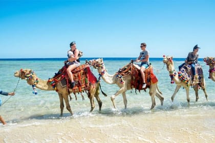 Camel riding on the beach or in the desert of Hurghada