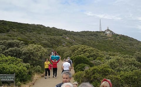 Private Tour of Cape of Good Hope and Kirstenbosch Garden