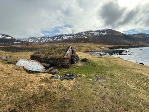 Isafjordur and Westfjords Private Tour, photo 4