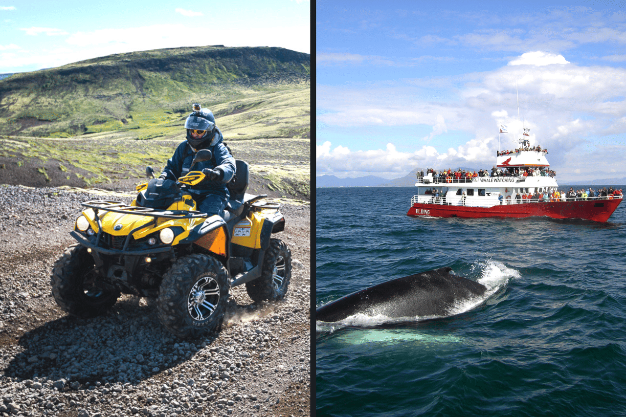 ATV & Whale Watching 9