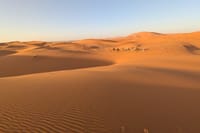 Visit the Nomads Behind the Dunes of Erg Chebbi by 4WD 8