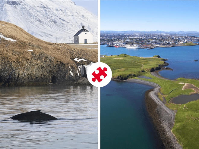 Reykjavík Whales & Viðey Island