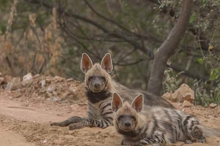 Jaipur Heritage walk Tour