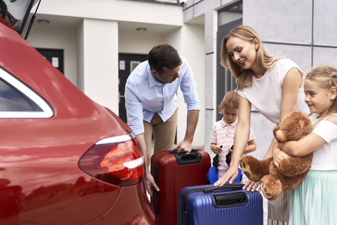  1-Way Private Transfer from the Blue Lagoon to Reykjavik