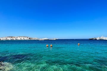 Private Beach Hopping Tour in Mykonos: Elia and Kalafatis