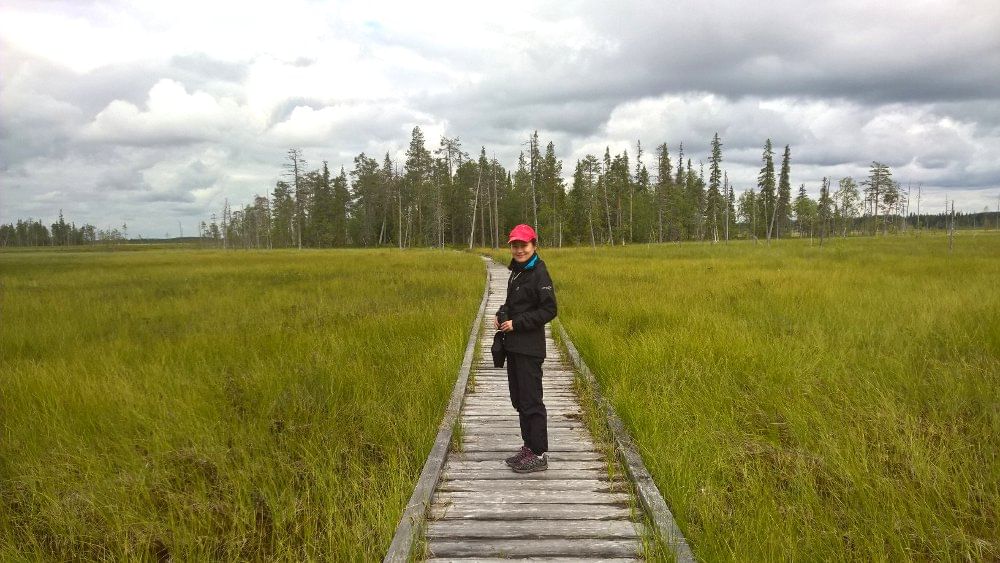 A woman standing on a bridge over a svamp
