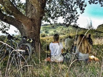 Bike Tour of Frascati and Grottaferrata's Vineyards and History