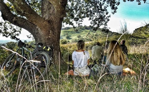 Bike Tour of Frascati and Grottaferrata's Vineyards and History
