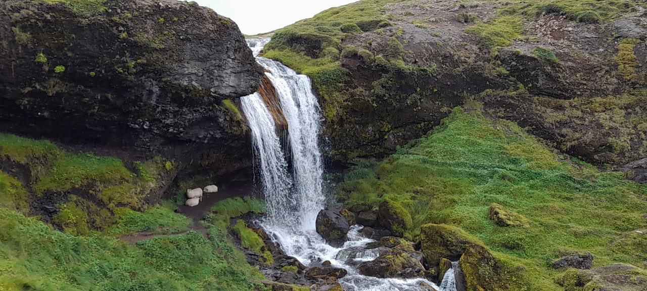 Private Snaefellsnes Peninsula Tour from Reykjavik 4