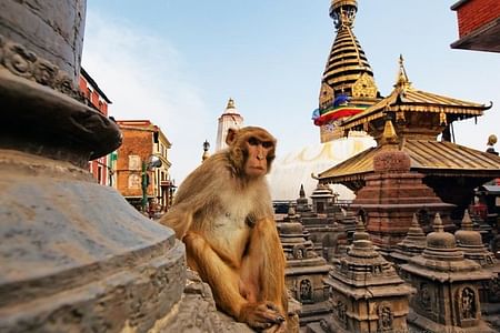 Private Kathmandu Sightseeing Tour – UNESCO World Heritage Sites