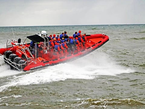 Solar Eclipse by RIB Speedboat from Reykjavík, photo 5