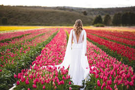 Visit the Kuekenhof gardens and its tulip fields with a car and private guide picked up at your hotel 5