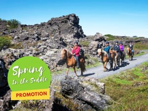 Lava Tour - Horseback Riding through the Lava Fields