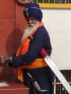 Raj to Taj & Beyond - Golden Triangle with Galta & Gaitore! 1