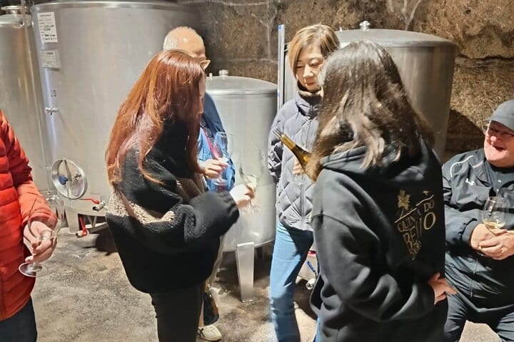 DOURO VALLEY: Premium Wine Tour, Lunch at Winery & Private Cruise