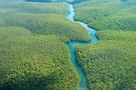Iquitos Transfer from Airport to Hotels