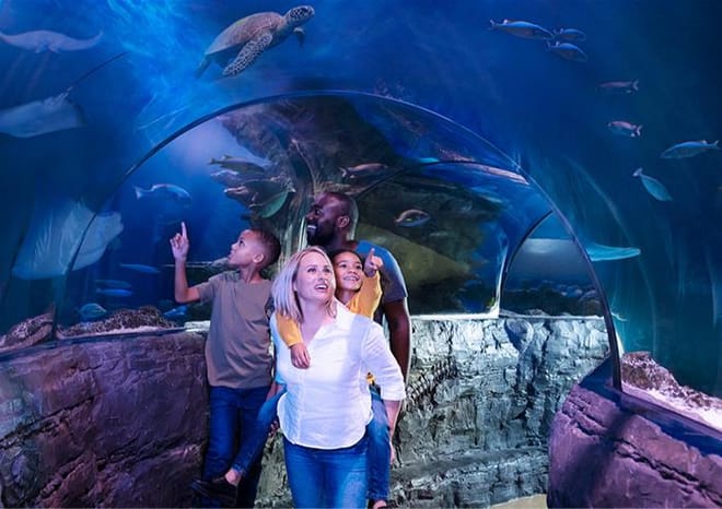 Merlin's Magical London – 3 London Attractions photo 4
