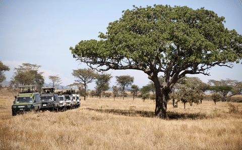 5-Day Safari Adventure in Serengeti National Park, Tanzania