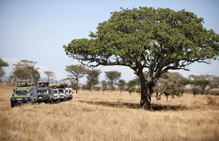 5-Day Safari Adventure in Serengeti National Park, Tanzania