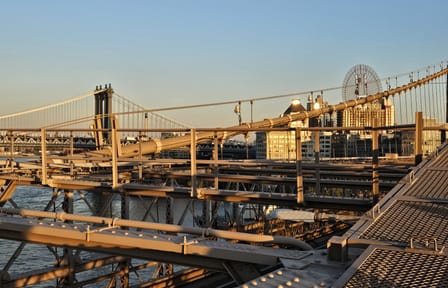 Brooklyn Landmarks Tour: Bridge, Dumbo, and Coney Island