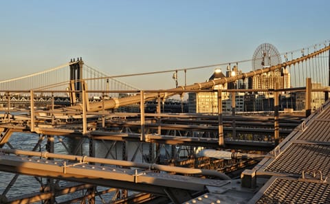 Brooklyn Landmarks Tour: Bridge, Dumbo, and Coney Island