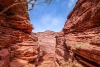 From Salta: Two full-day tours of Cafayate and Salinas Grandes 10
